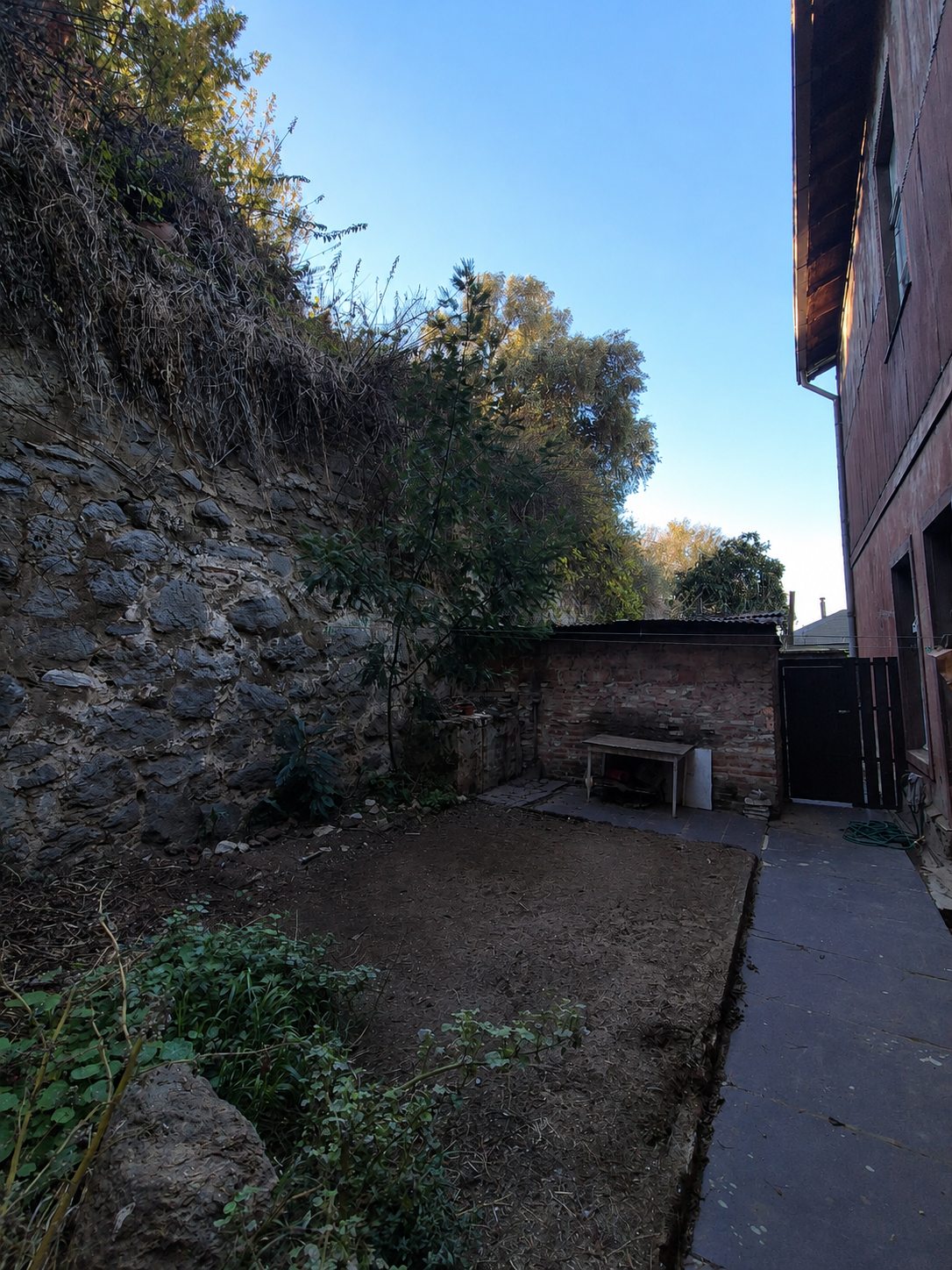 Patio Trasero