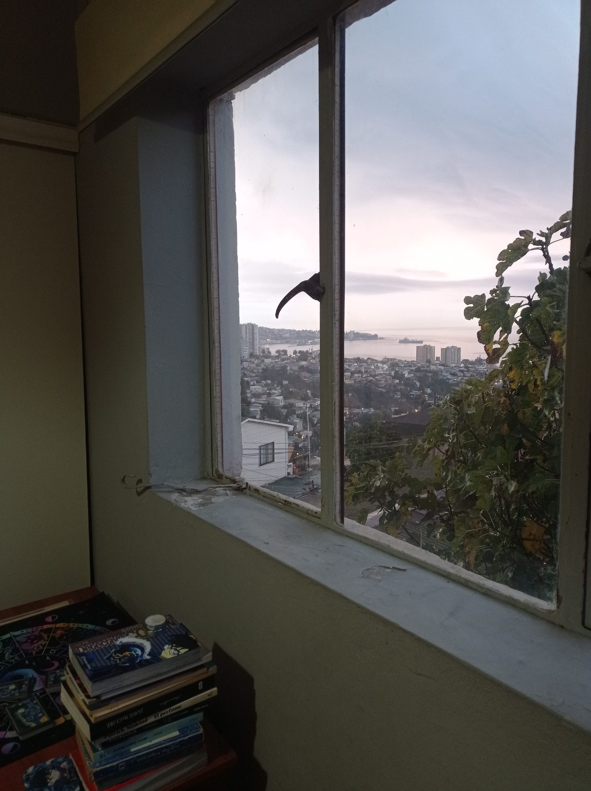 Foto 11
