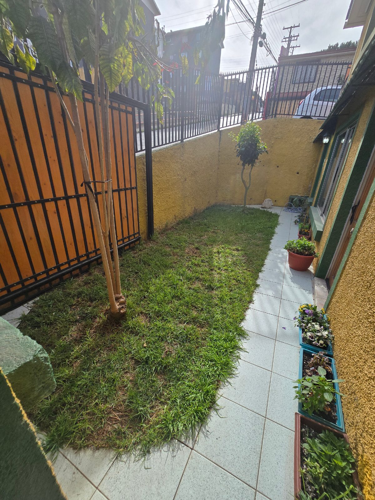 ANTEJARDIN