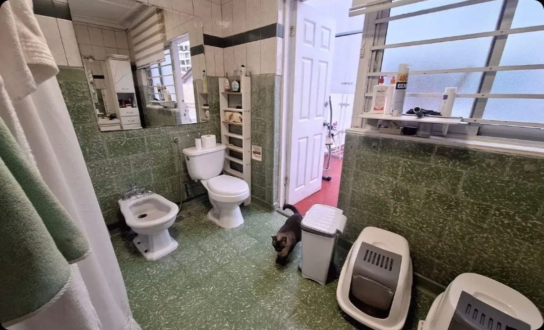 Baño