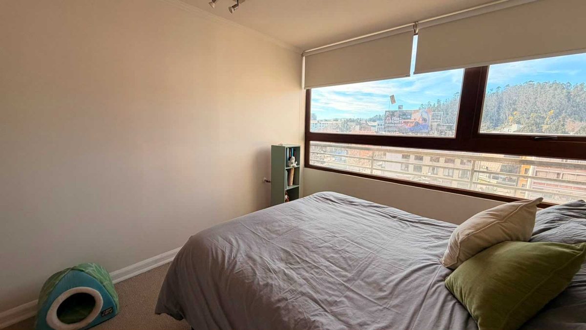Departamento en Venta en Concepción, Vendo departamento pasos Udec 2 dormitorios (175504)