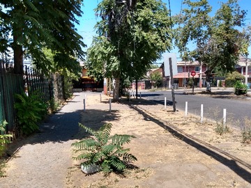 Calle Camberra