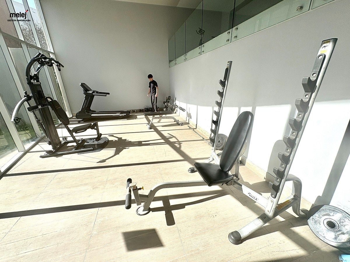 Gimnasio