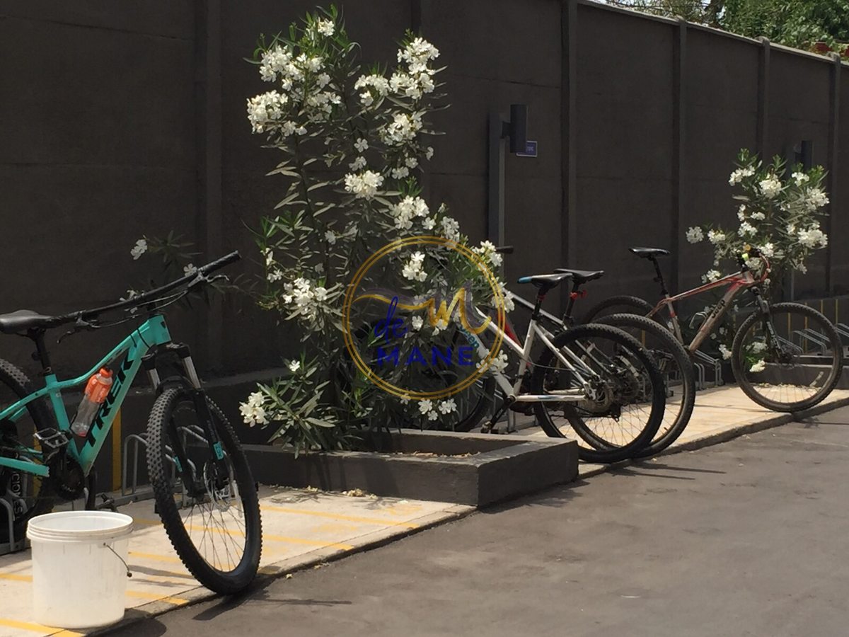 bicicleterao