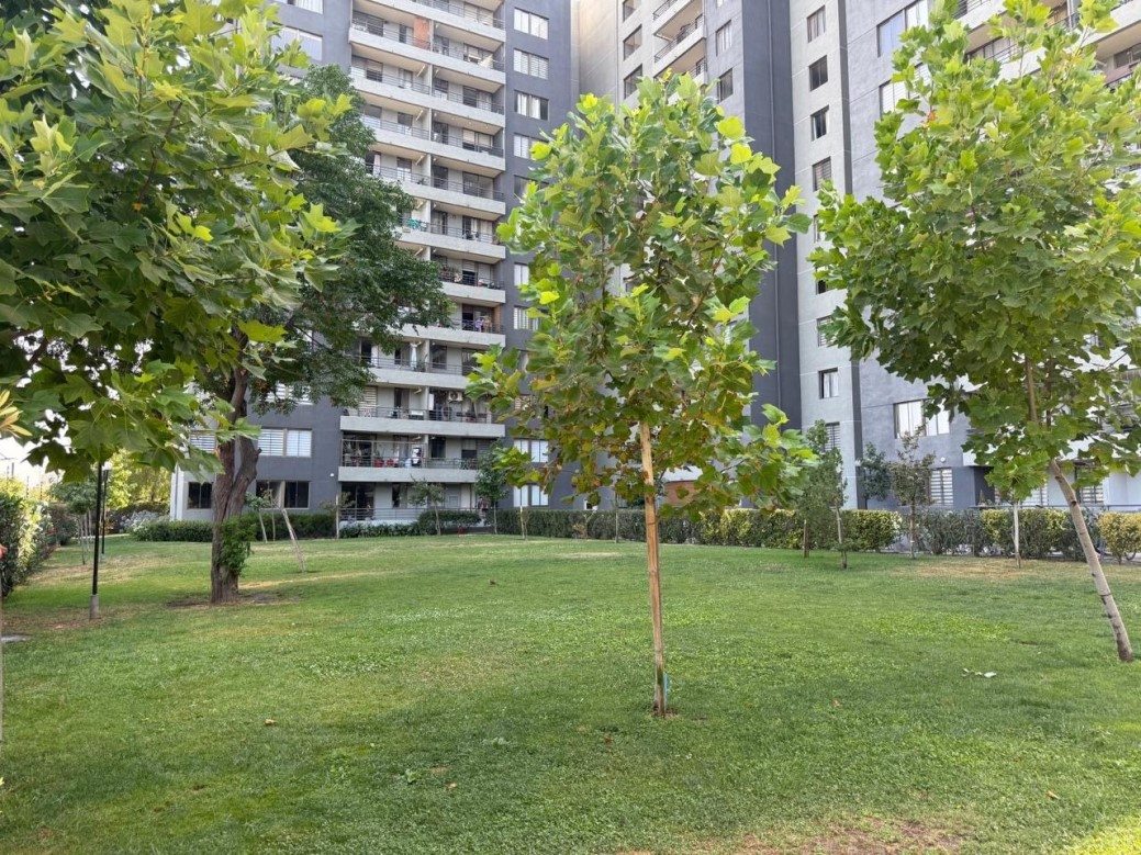 Foto 12