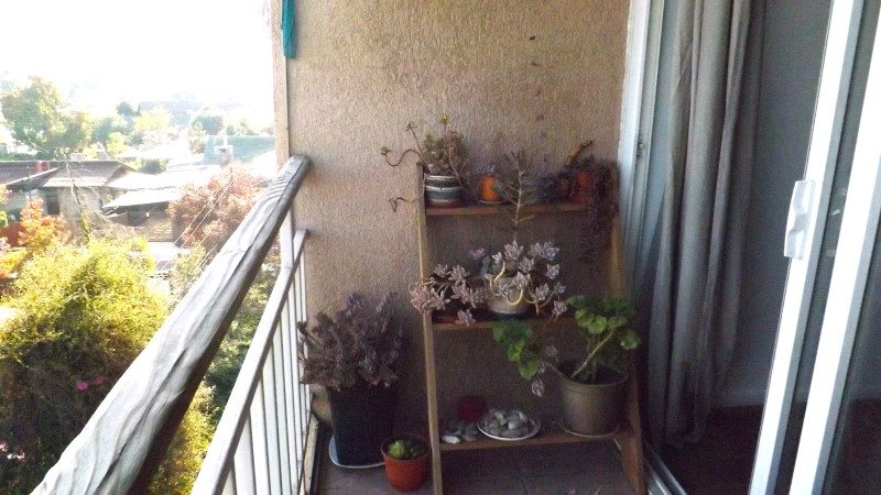 Foto 22