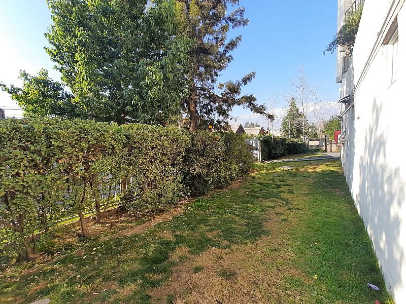 Foto 19