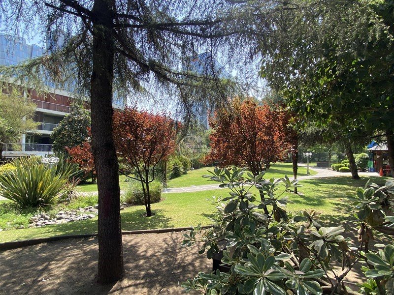 Foto 7