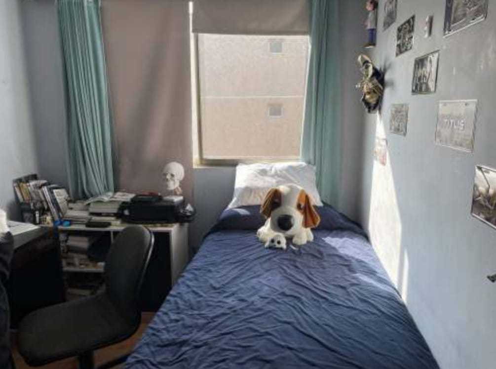 Foto 5