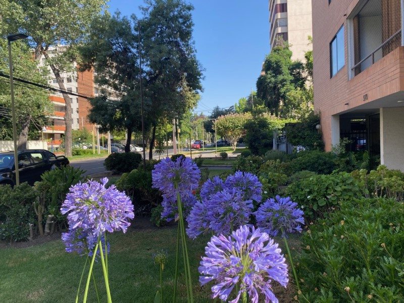 Foto 20