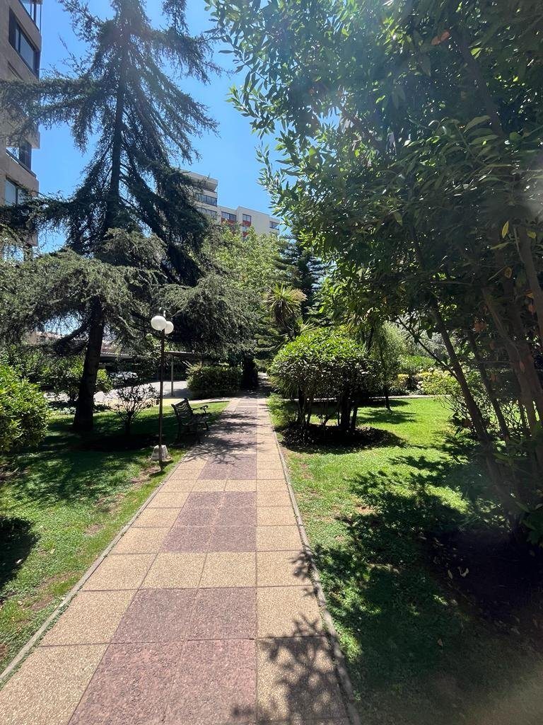 Foto 19