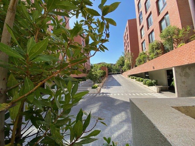 Foto 19