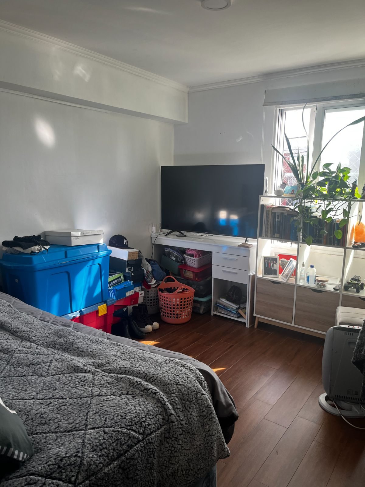 Foto 7