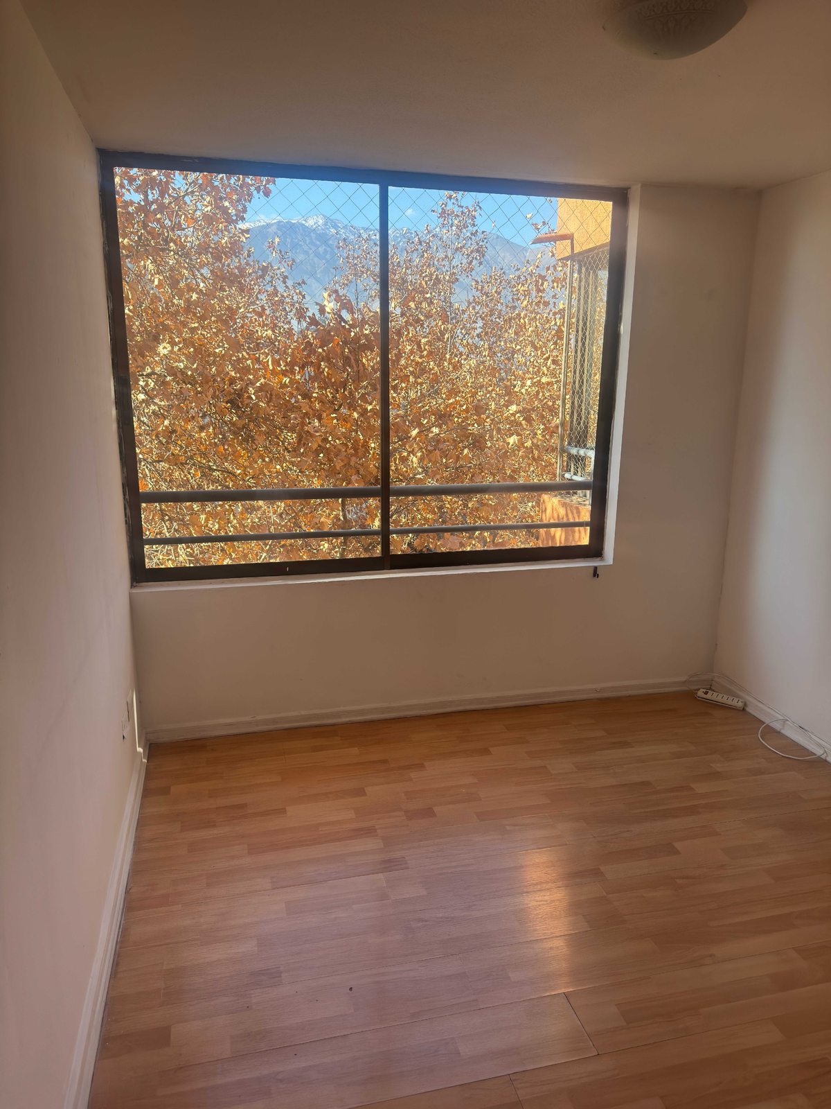 Foto 23
