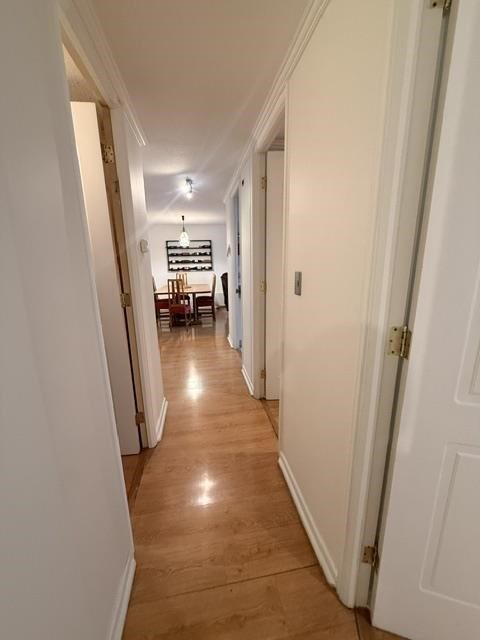 Foto 24