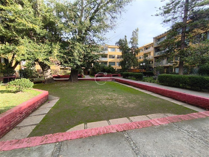 Foto 19