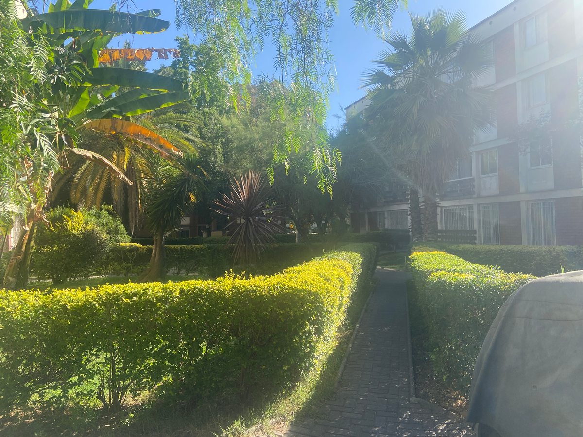 areas comunes y parque