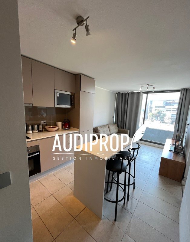 Departamento en Venta en Ñuñoa, Dpto año 2022 1d 1b con bodega, plaza egaña