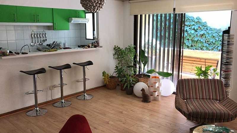 Departamento en Venta en Ñuñoa, Amplio Departamento Renovado en Ñuñoa (127925)
