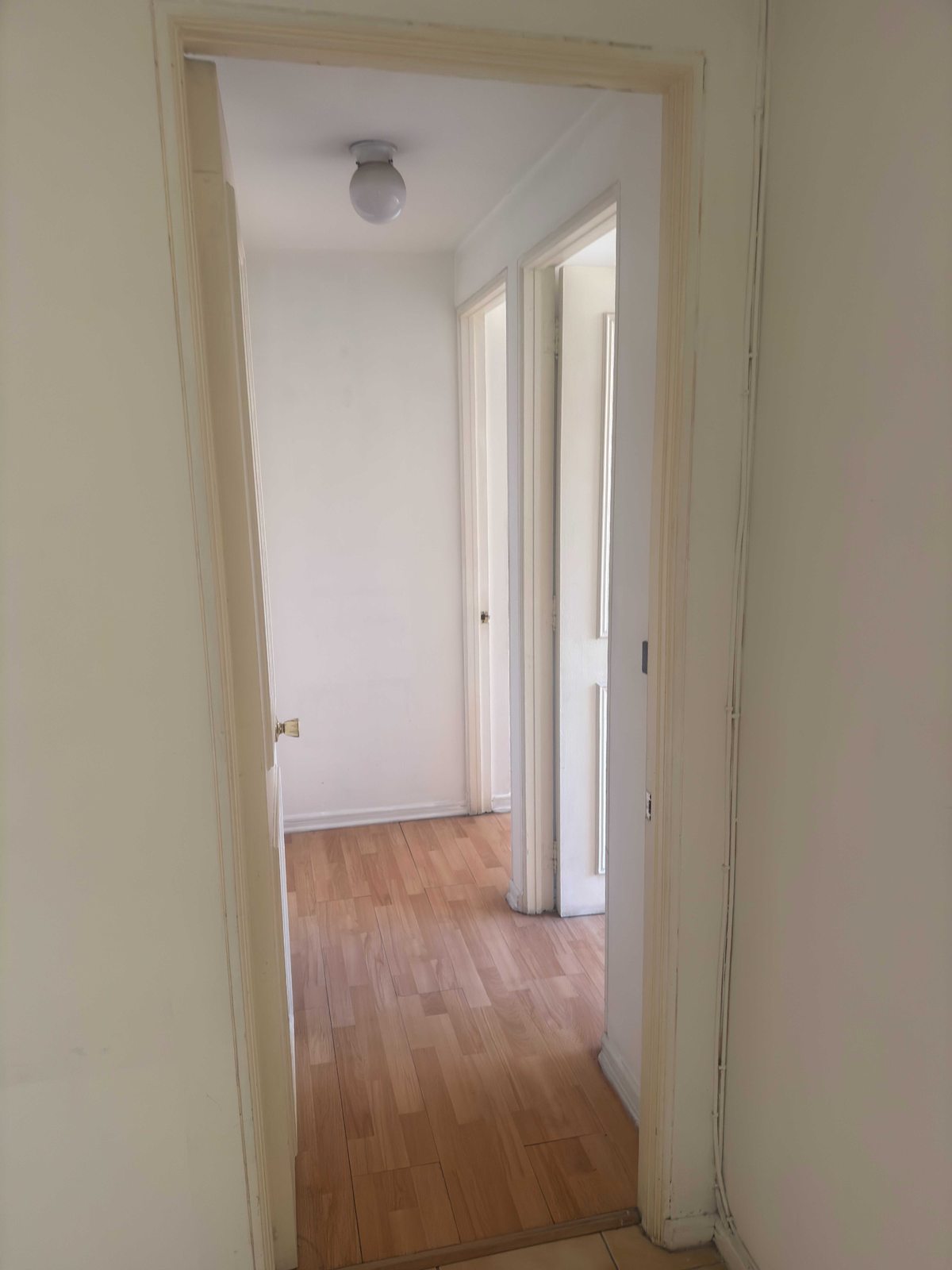 Foto 20