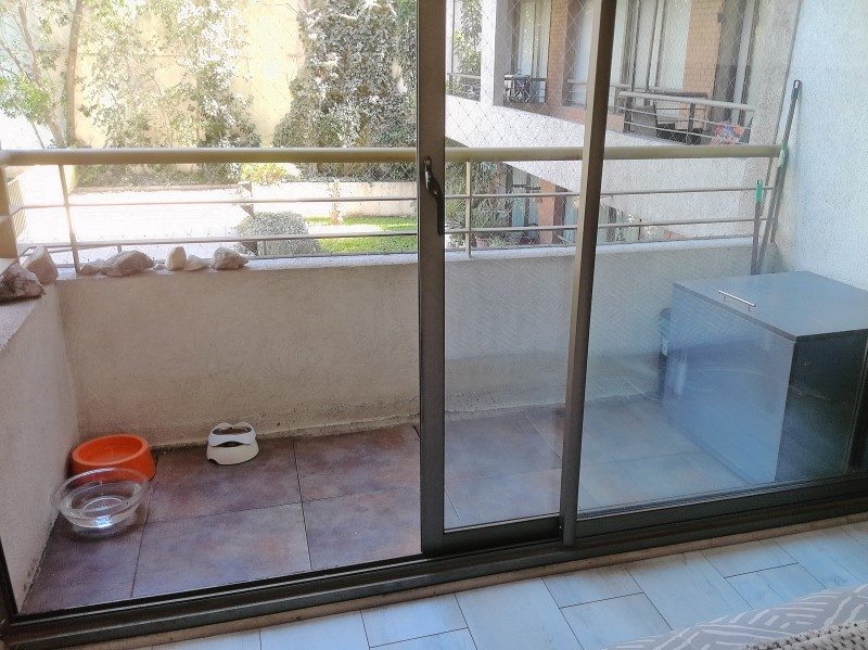 Foto 19