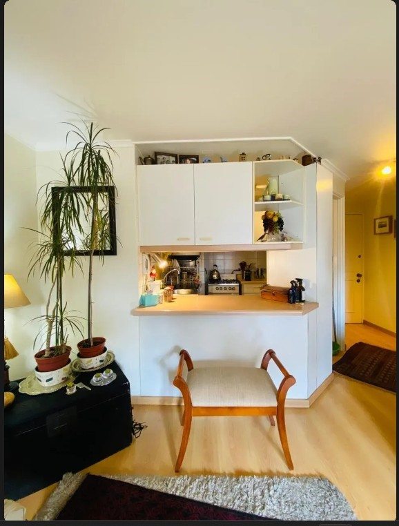 Departamento en Venta en Providencia, Roman diaz | cano y aponte | metro salvador| providencia