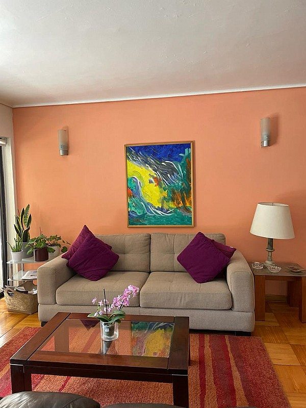 Departamento en Venta en Providencia, Vendo departamento en providencia, calle luis thayer