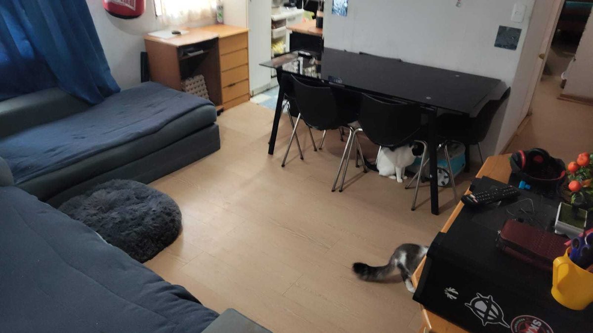 Foto 4