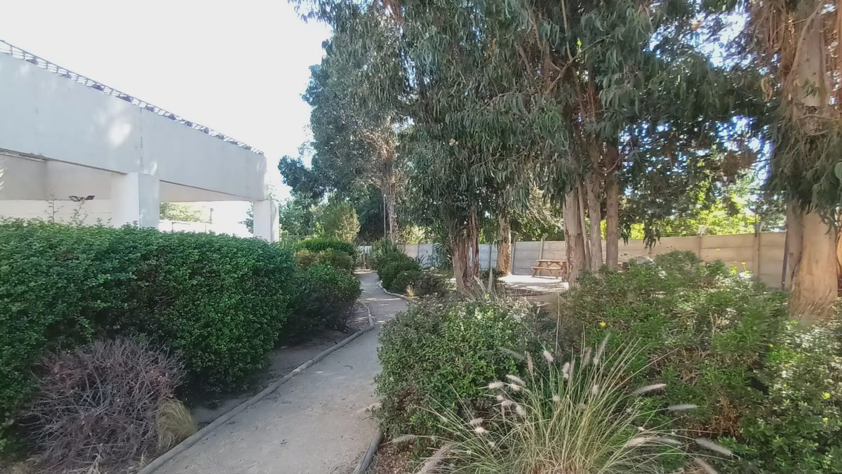 Áreas comunes zona picnic