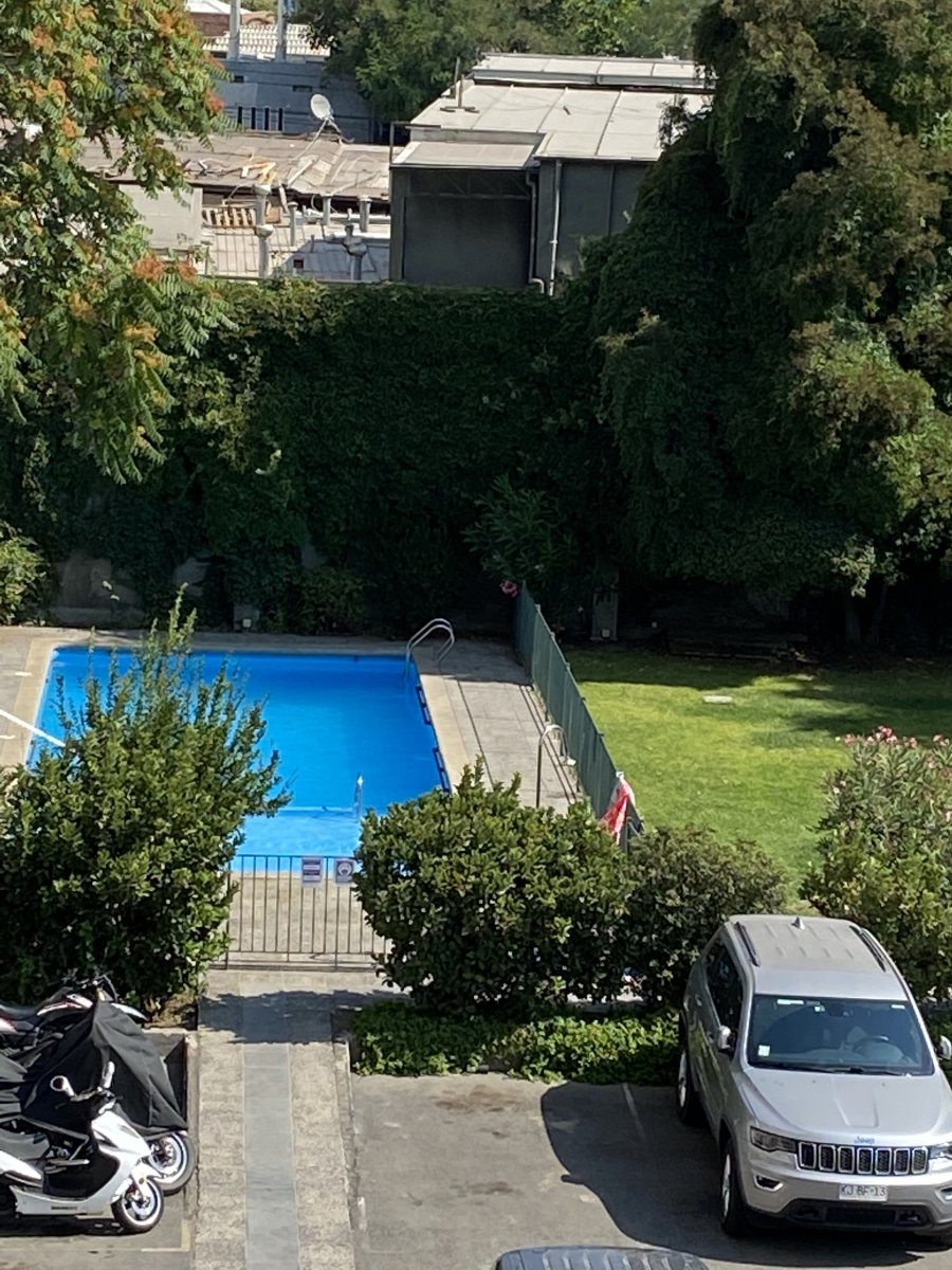 Vista Pisicina