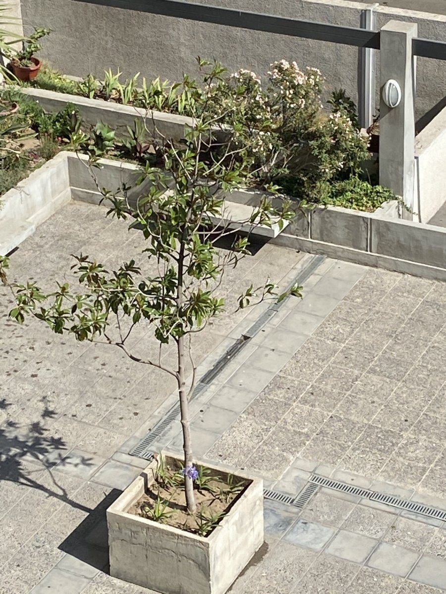 Espacio para jugar