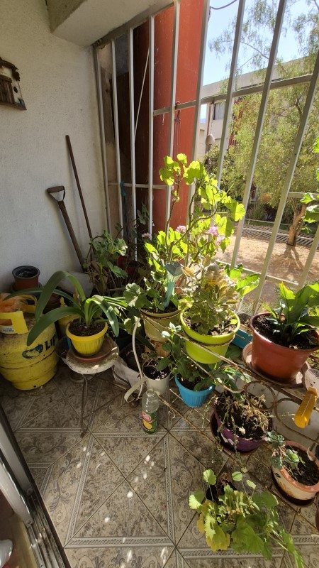 Foto 14