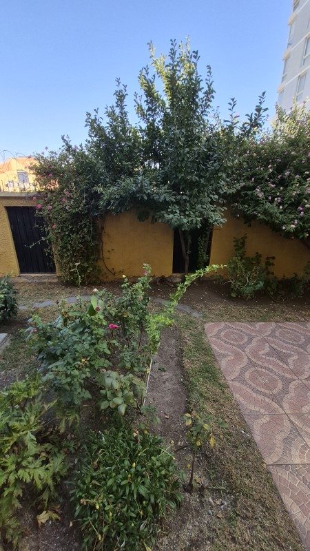 Foto 16