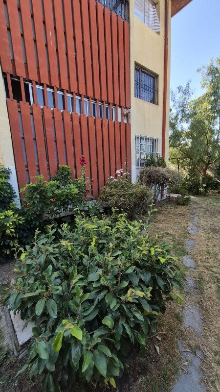 Foto 18