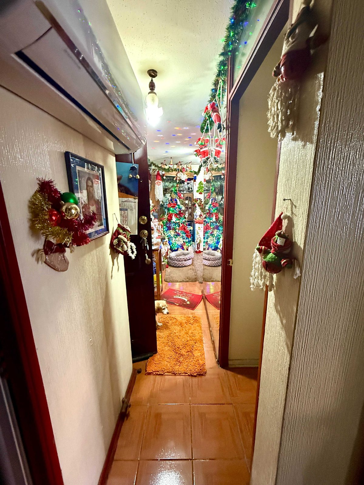 Foto 7