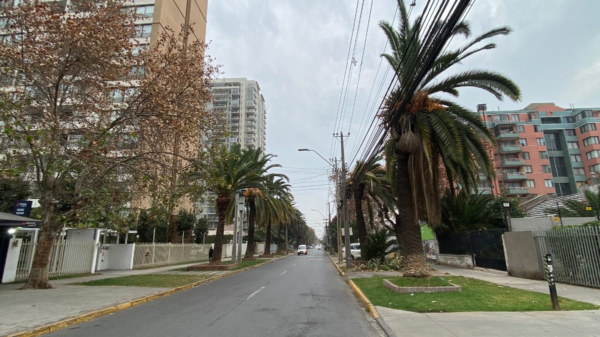 Calle