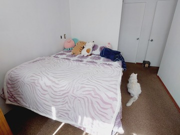 Dorm 2