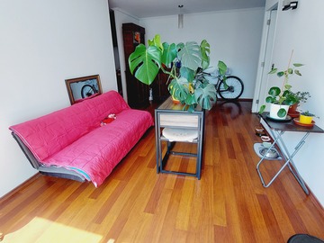 Living Comedor
