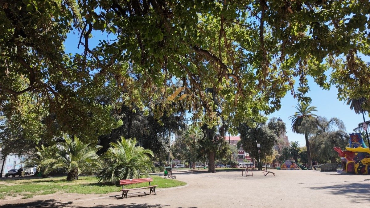 Foto 6