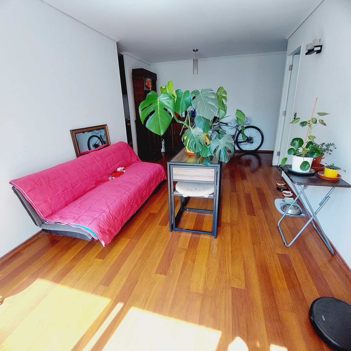 Living Comedor