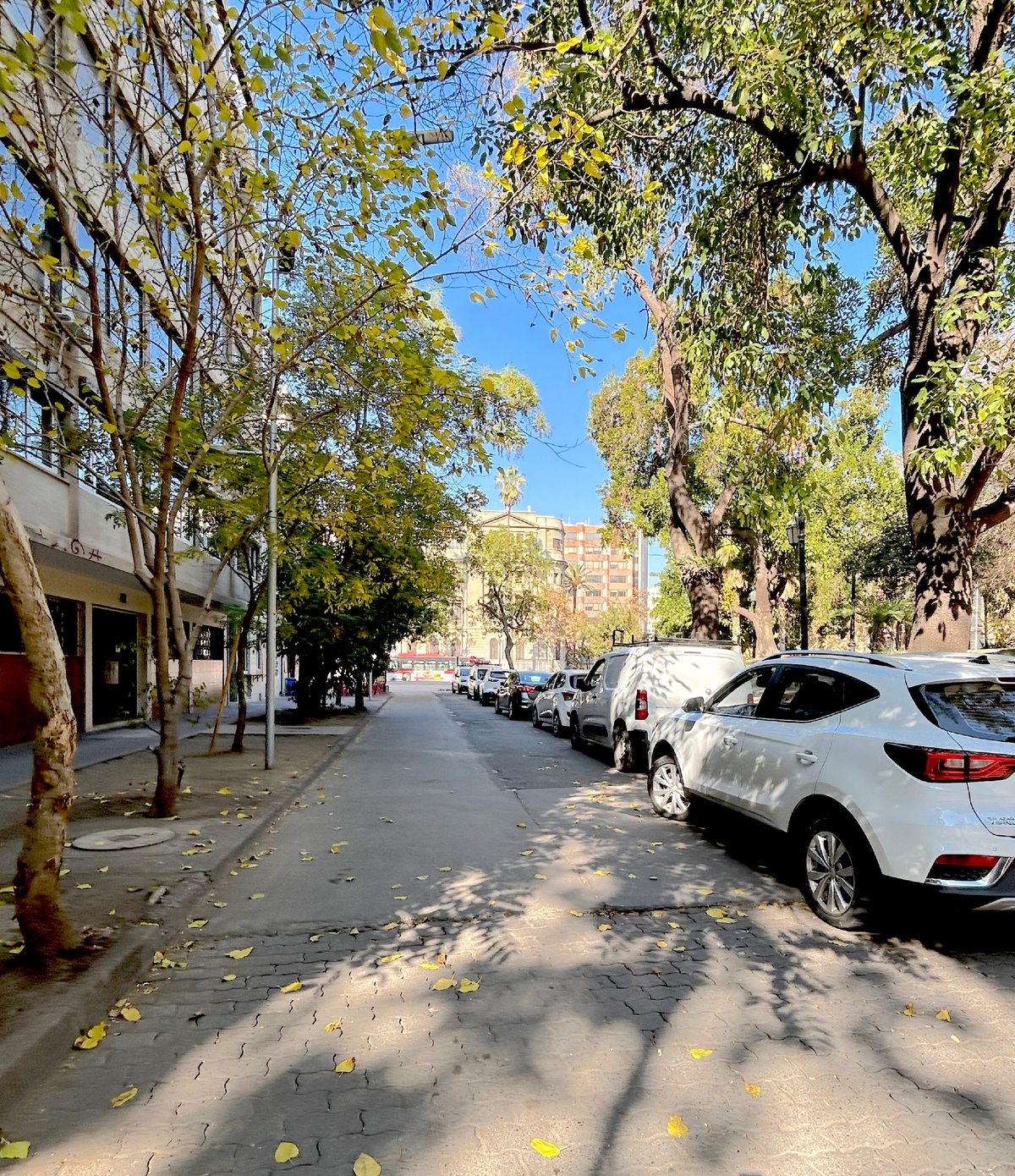 1/2 cuadra de Alameda