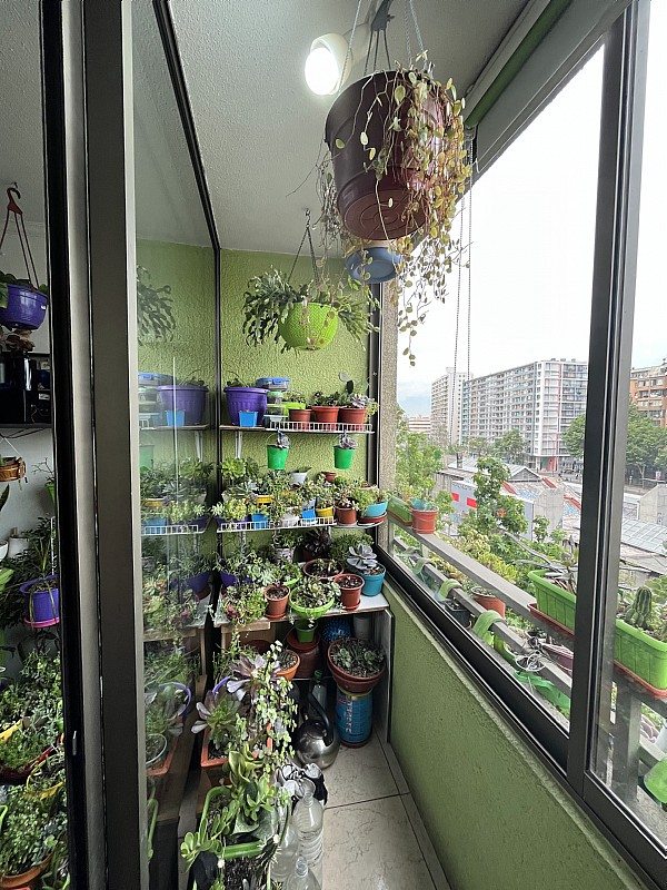 Foto 6