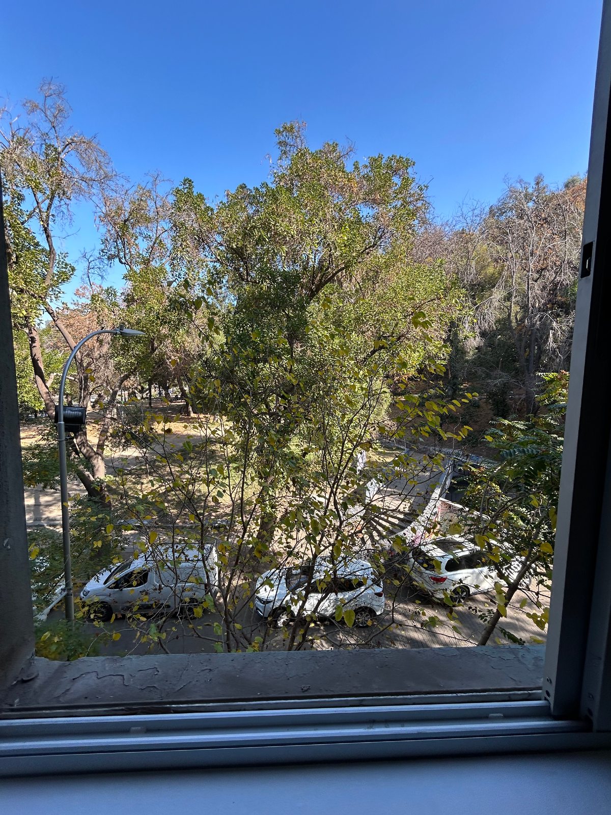 Vista living