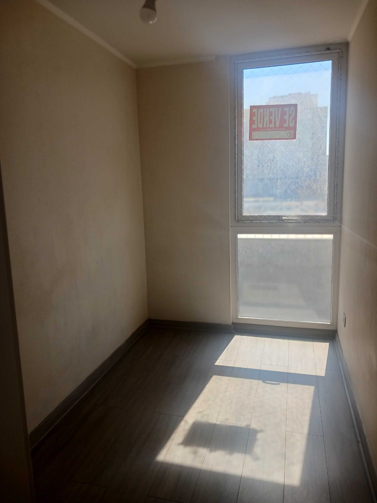Foto 19