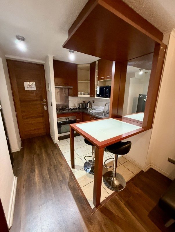 Departamento en Venta en Santiago, Metro bellas artes