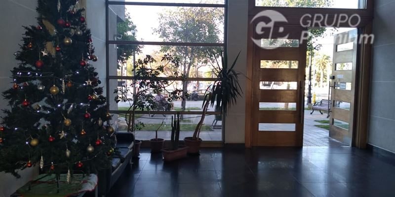 Foto 19