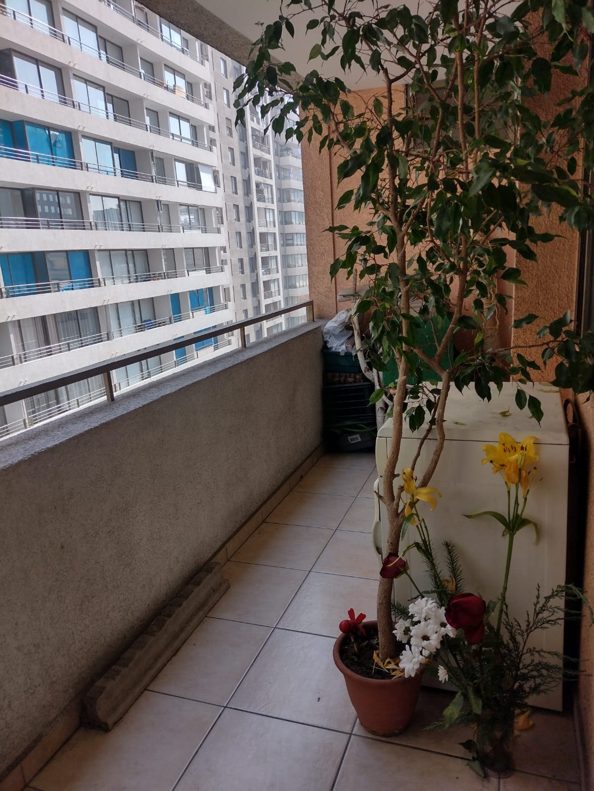 Terraza hacia Amunategui
