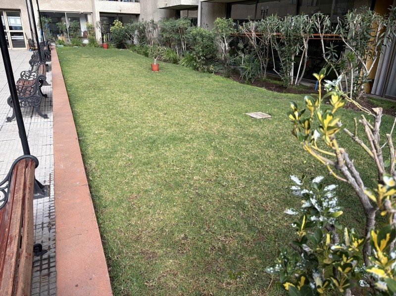 Foto 15