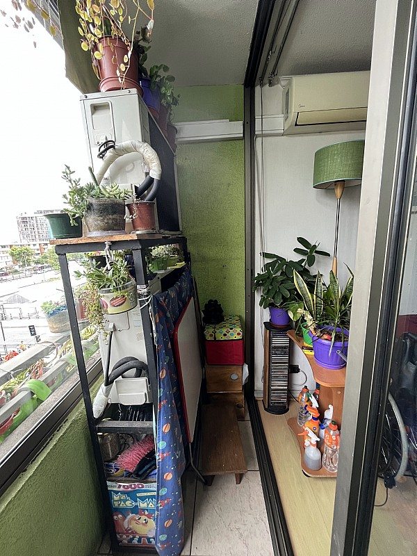 Foto 5