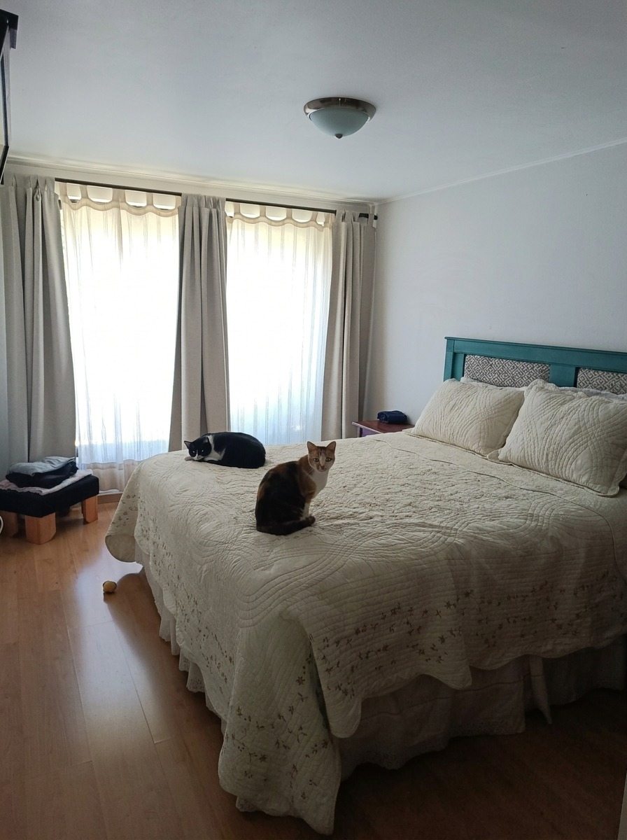 Foto 18